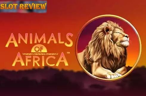 Animals of Africa slot